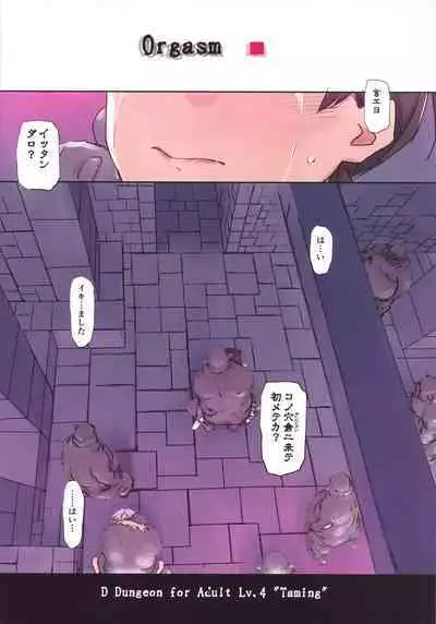 D Dungeon for Adult Lv.4