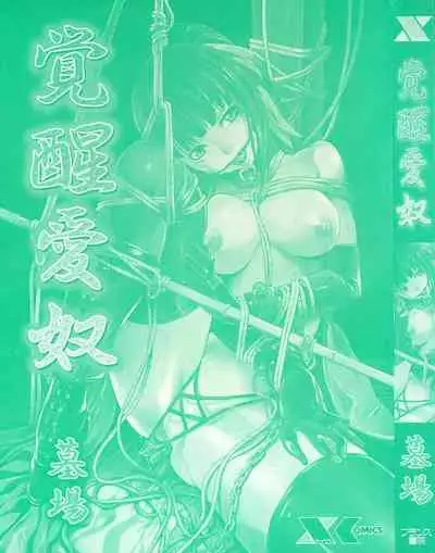 Kakusei Aido