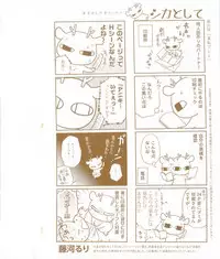 花音 2014-12