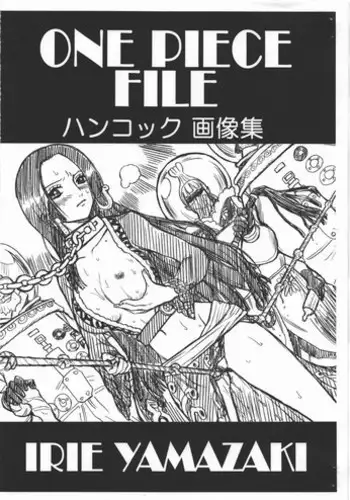 (COMIC1?4) [Rat Tail (Irie Yamazaki)] ONE PIECE FILE Hancock Gazoushuu (One Piece)