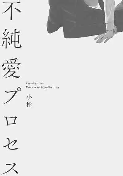 Fujunai Process | 不纯爱Process