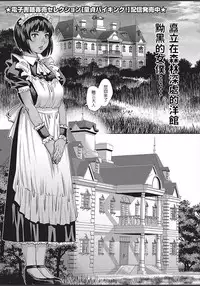 Himitsu no Yakata