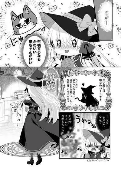 Ponkotsu Majo to Ijiwaru na Neko.