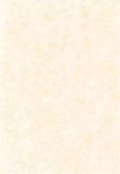 Yogoremono