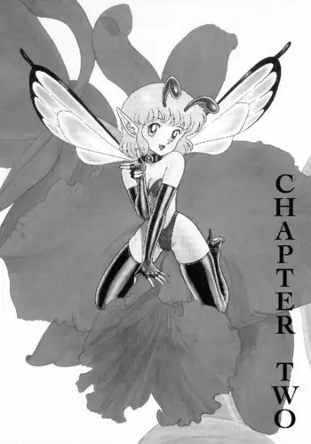 Bondage Fairies Vol2 - CH2