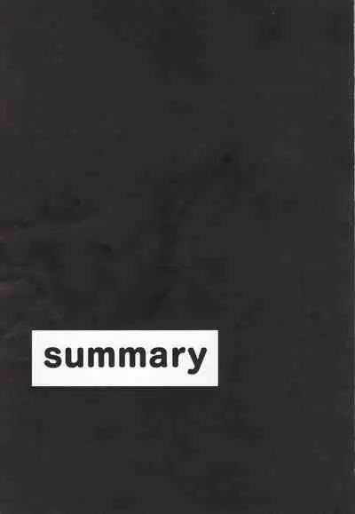 Summary