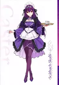 Chaldea Maid II
