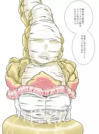 [Kasetsu Shirokuma Kakko Yoi (Yoikuma)] P045-02 Vanis Report