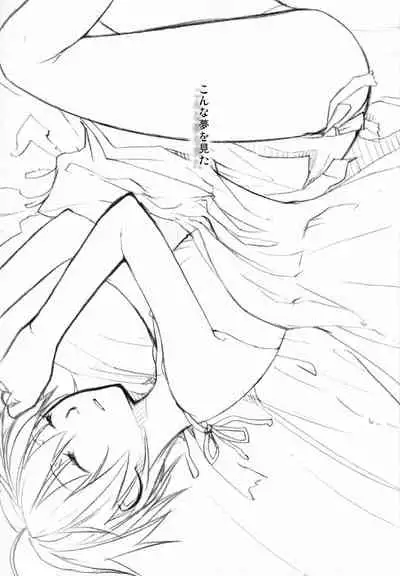 Lily High Dream