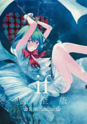 (C88) [DSO (Momoko)] if Kanzenban (Puella Magi Madoka Magica)