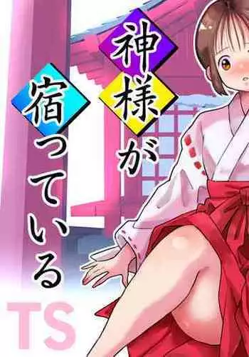 Shikyuu ni wa Kami-sama ga Yadotte Iru