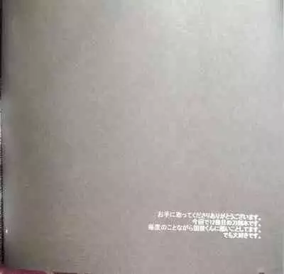 Aiyoku no Hate ni