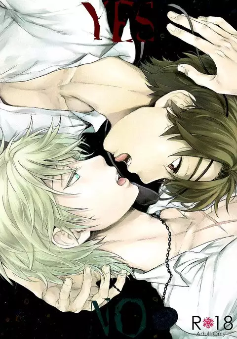 YES/NO