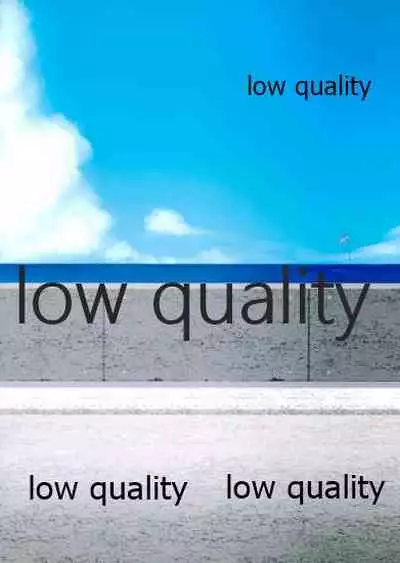 リコリス2