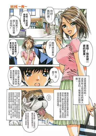 AKANE Color Version