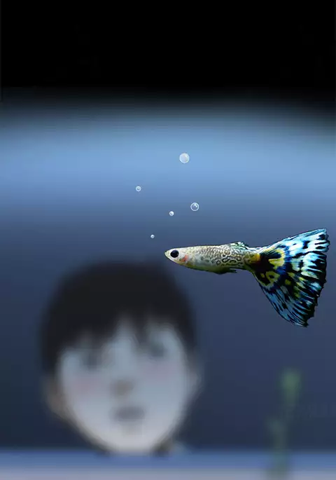 Take a Peek Ch.1-4