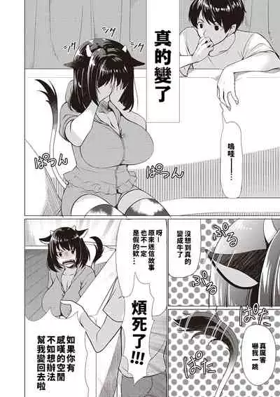 Ane ushi