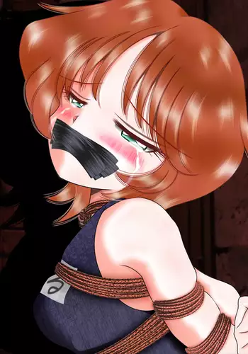 Hakurai Shoujo Series