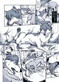 [Souko Souji] Aru Inu no Baai | 某只狗的视角 (Ookami Kodomo no Ame to Yuki) [Chinese] [新桥月白日语社]