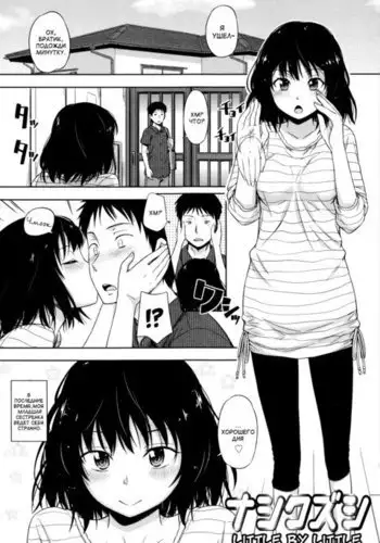 Nashikuzushi Little by Little