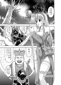 [Chilinsha (Chilin)] Princess Lession [Chinese]
