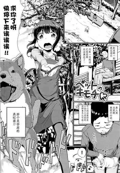 Pet no Kimochi || 宠物的感觉