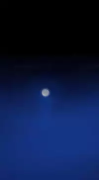 Missing Ch.1-7 (English) (Ongoing)