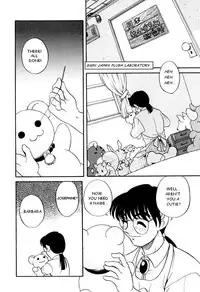 Stuffed Rabbit (english)
